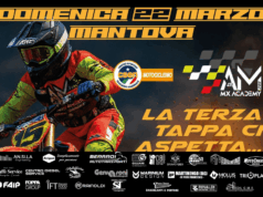 AMX Academy 289 ASD: un weekend ricco di successi tra Mantova, Cremona e Covo