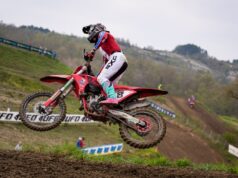 Fontanesi e Zanotti mattatori a Città di Castello